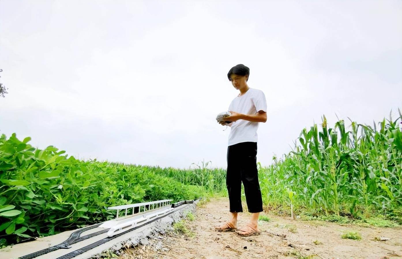 铁穿隧道还能变轨网友:农村基建狂魔九游会网站河南21岁小伙在菜地建高(图3) 铁穿隧道还能变轨网友:农村基建狂魔九游会网站河南21岁小伙在菜地建高(图3)