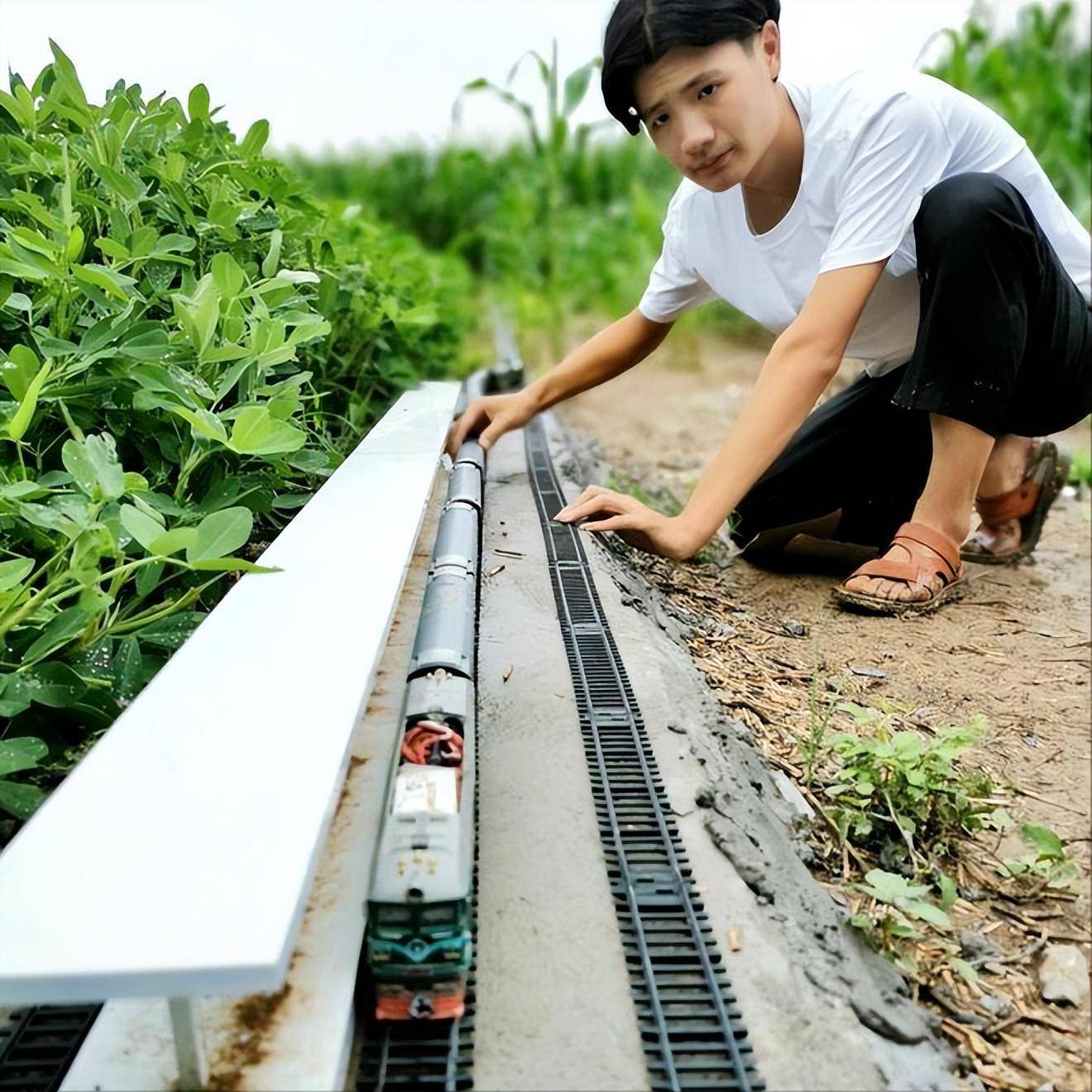 铁穿隧道还能变轨网友:农村基建狂魔九游会网站河南21岁小伙在菜地建高(图6) 铁穿隧道还能变轨网友:农村基建狂魔九游会网站河南21岁小伙在菜地建高(图6)