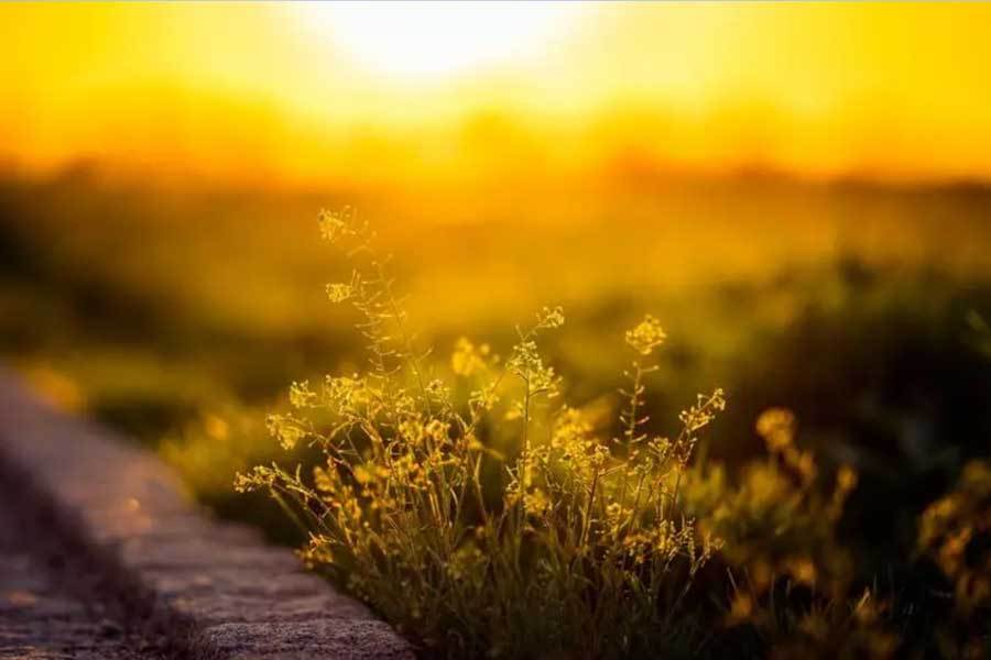 新动漫角色人气飙升周边缺货j9九游真人游